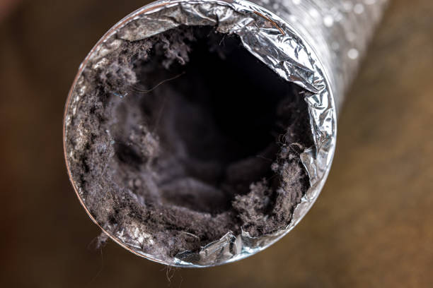 Best Air Duct Cleaning Near Me  in Bismarck, MO